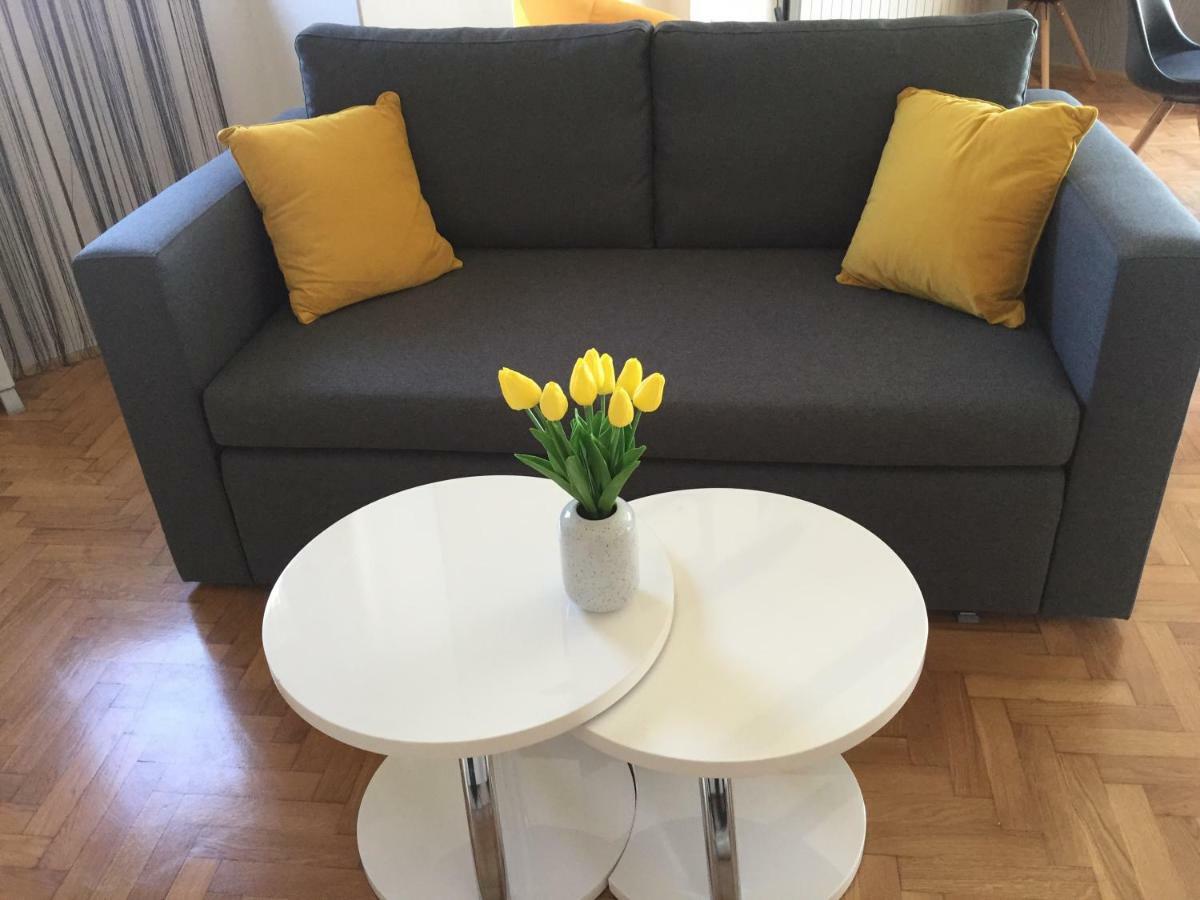 Apartman Studio Sonas 3 With Free Private Parking Карловац Экстерьер фото